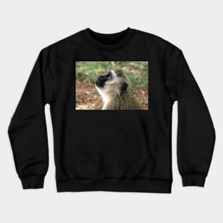 Monkey Smiling Crewneck Sweatshirt